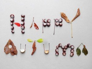 0053dc9b8c812579b8243c9d39801df1