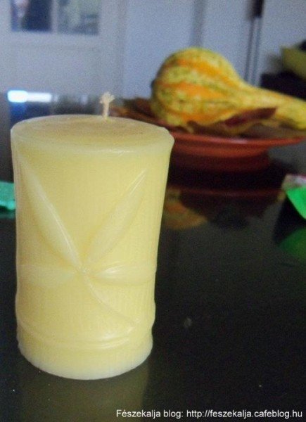 315540_1908285206438_499230145_n