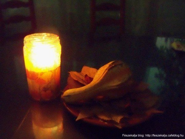 385385_1908285646449_262847316_n (1)