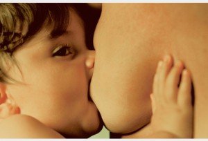 L-allaitement-bientot-obligatoire-au-Venezuela_exact441x300