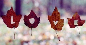 feuilles-love