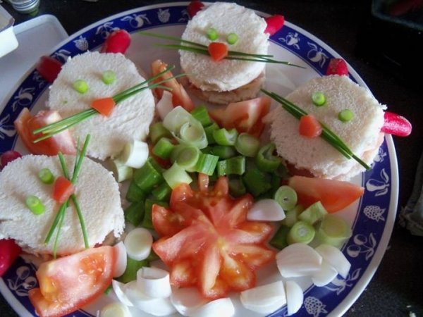 556656_2607368523084_295188532_n